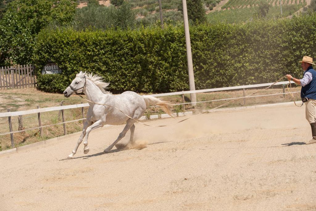 פונטאסייבה Podere Il Poggiolo מראה חיצוני תמונה