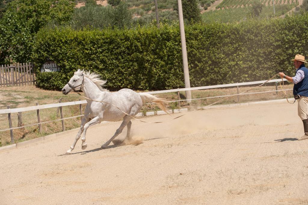 הוילה Rufina Podere Il Poggiolo מראה חיצוני תמונה