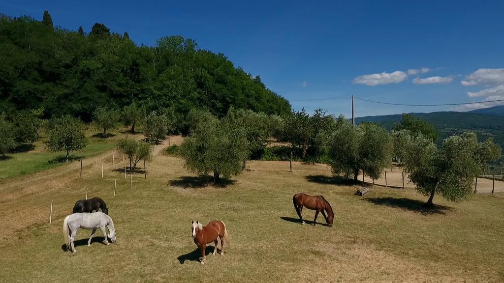 פונטאסייבה Podere Il Poggiolo מראה חיצוני תמונה